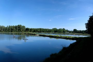 Front cover. Caviar Sturia's sturgeon farm